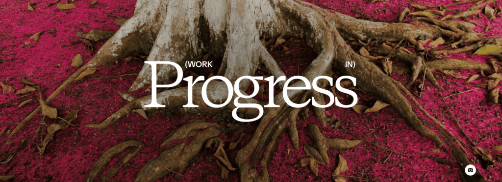 Couverture du rapport d’impact 2025 de Patagonia