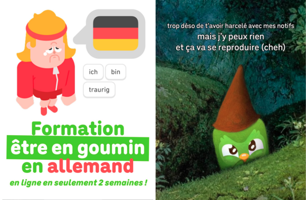 Duolingo et les expressions de jeune : "Formation "être en goumin" en allemand". "Trop déso de t'avoir harcelé avec mes notifs mais j'y peux rien et ça va se reproduire (cheh)".